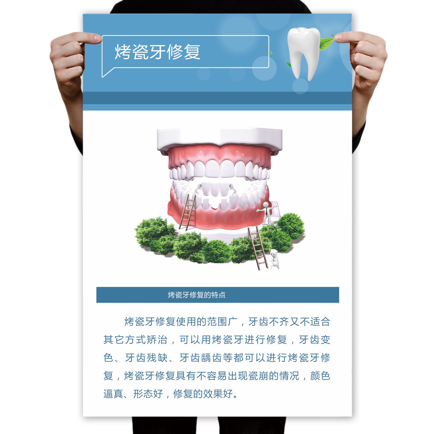 牙科诊所挂图烤瓷牙齿解剖图口腔知识海报贴纸宣传画kt板定制包邮 - 图3