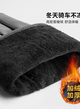 稻草人真皮手套新款女冬季加绒加厚骑行防风女士小羊皮手套可触屏