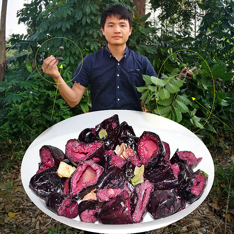 乌榄角 广西黑榄角干香油榄特产无核橄榄农家下饭菜丁香榄即食 - 图1