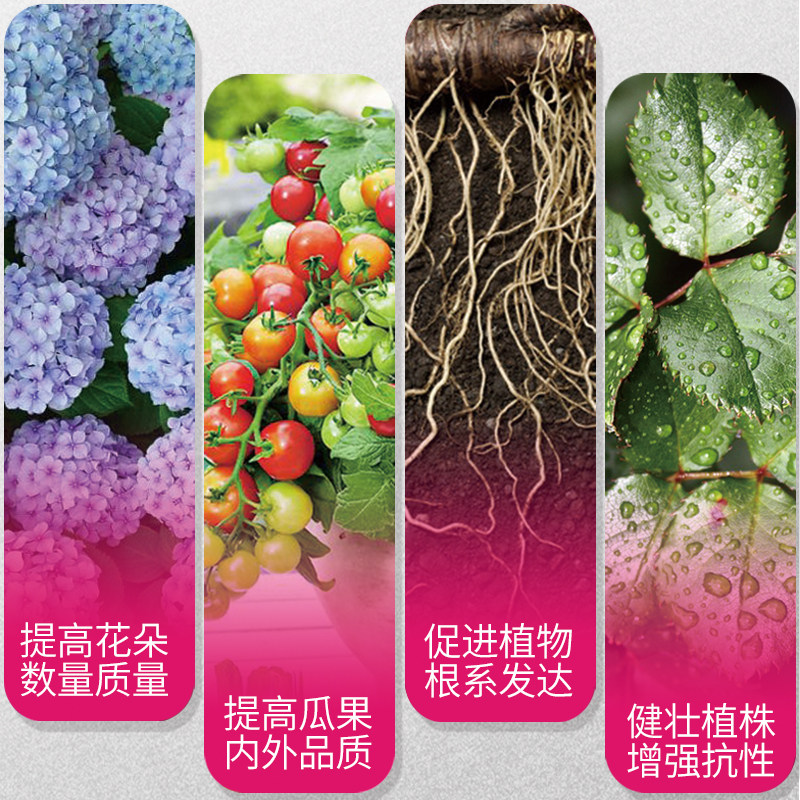国光施奇磷酸二氢钾肥料花卉专用花肥水溶肥料促进开花家用叶面肥