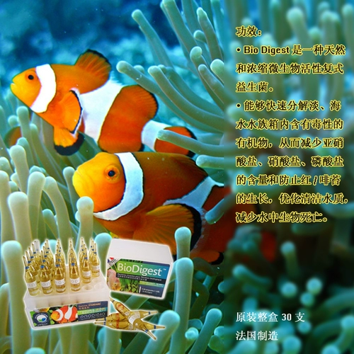 Бесплатная доставка Kody Bio Digest Aquarium Special High -эффективность, активированная пробиотики, 30 ветви нитрифурированных бактерий