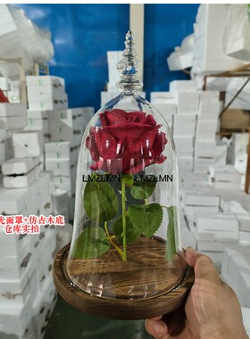美女与野兽真爱宴会送花展示罩