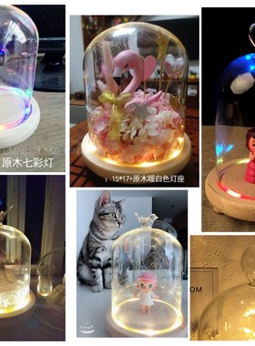 永生花发光透明玻璃创意摆件包邮