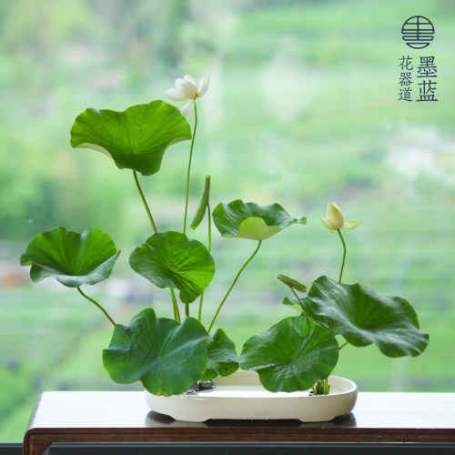 特大椭圆小判花器花盆 小原流写景盛花插花日式花道花艺展出布景 - 图1