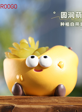 可爱果趣小花盆阳台花园多肉植物盆栽创意个性绿植装饰摆件