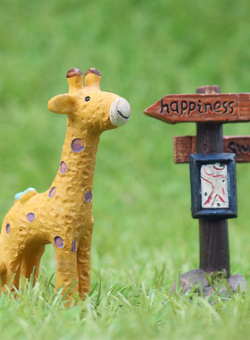 仰望儿童房多肉花盆玄关小动物