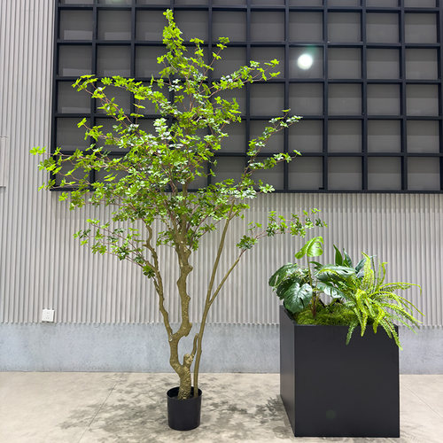 wo+仿真吊钟树假绿植马醉木大型植物景观花箱搭配橱窗电梯口摆放 - 图1