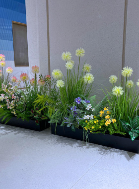 wo+仿真蒲公英绣球芦苇绿植盆景
