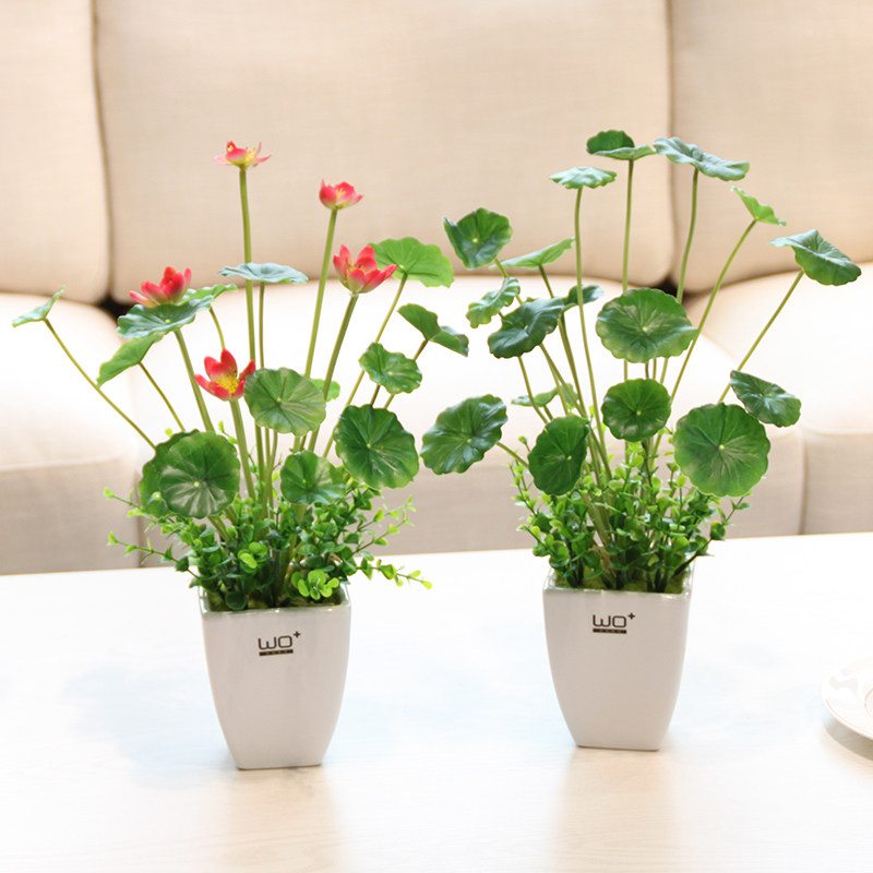 Wo 仿真花假花假草金钱草铜钱草水草绿植玻璃水培植物装饰花艺 小编推荐 Wepost 全民代运 马来西亚中国淘宝代运与集运专家 Wo 仿真花假花假草金钱草铜钱草水草绿植玻璃水培植物装饰花艺 小编推荐 Wepost 全民代运 马来西亚中国淘宝代运与集运专家
