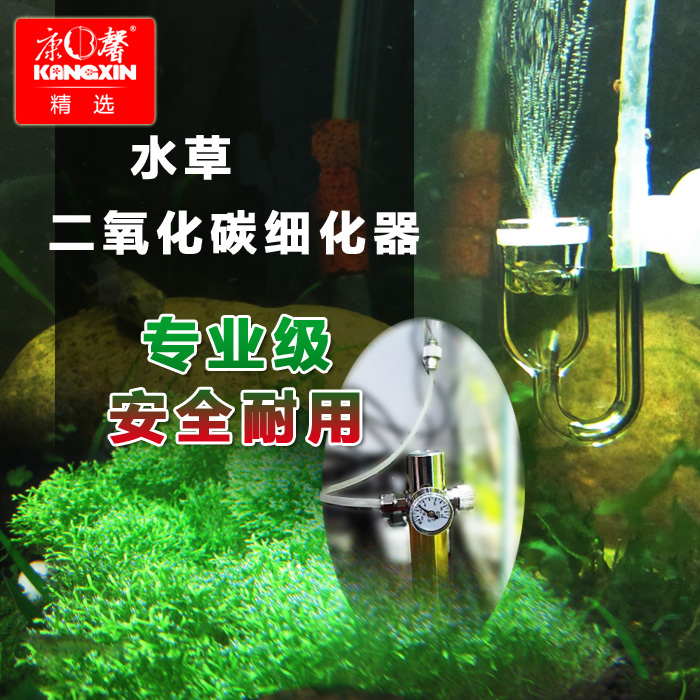 康馨CO2气瓶套装抛弃式二氧化碳钢瓶减压阀转接细化器迷你发生器-图0