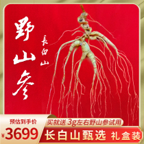 Wild Mountain ginseng Changbai Mountain is preferred for more than 25 years whole branch with national inspection certificate source Changbai Mountain ginseng 17-20g