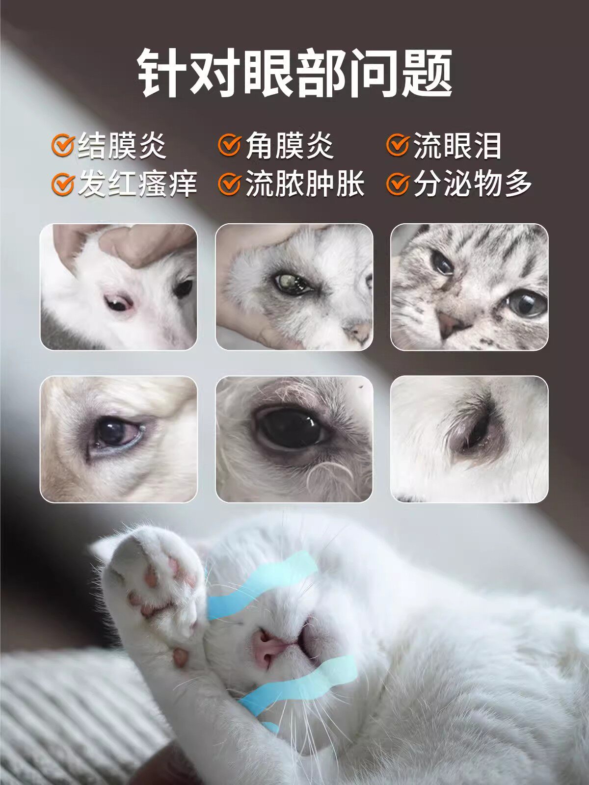 中农瑞支康恩诺沙星猫咪猫鼻支打喷嚏结膜炎角膜炎杯状泛昔滴眼液,淘宝优惠券,粉丝福利购,淘宝优惠卷