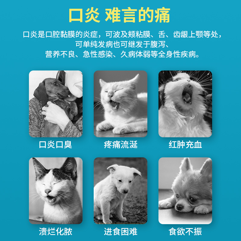 合宠迈维康敏特舒缓猫狗过敏性皮炎皮肤痒皮疹猫咪口炎异位性皮炎 - 图1