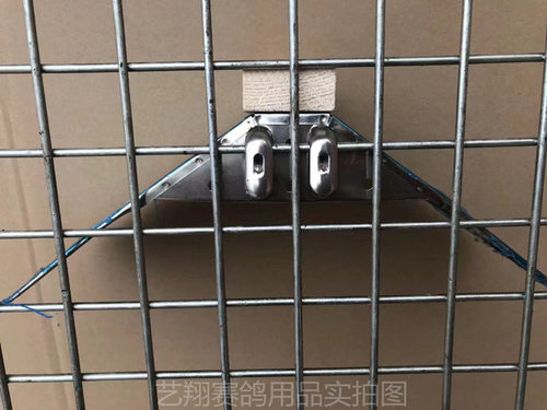 五个起包邮鸽具信鸽鸽子赛鸽高级无磁不锈钢大号挂钩式站架栖架 - 图2