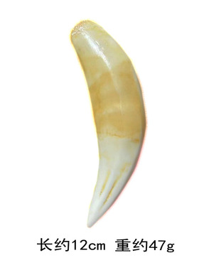 龙渡树脂仿虎牙复古男士项链吊坠