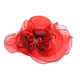 Women's summer face covering sun hat hat