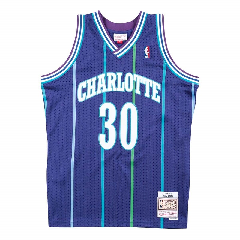 Mitchell&Ness 库里爸爸 戴尔库里 Dell Curry 黄蜂球迷版SW球衣 - 图3