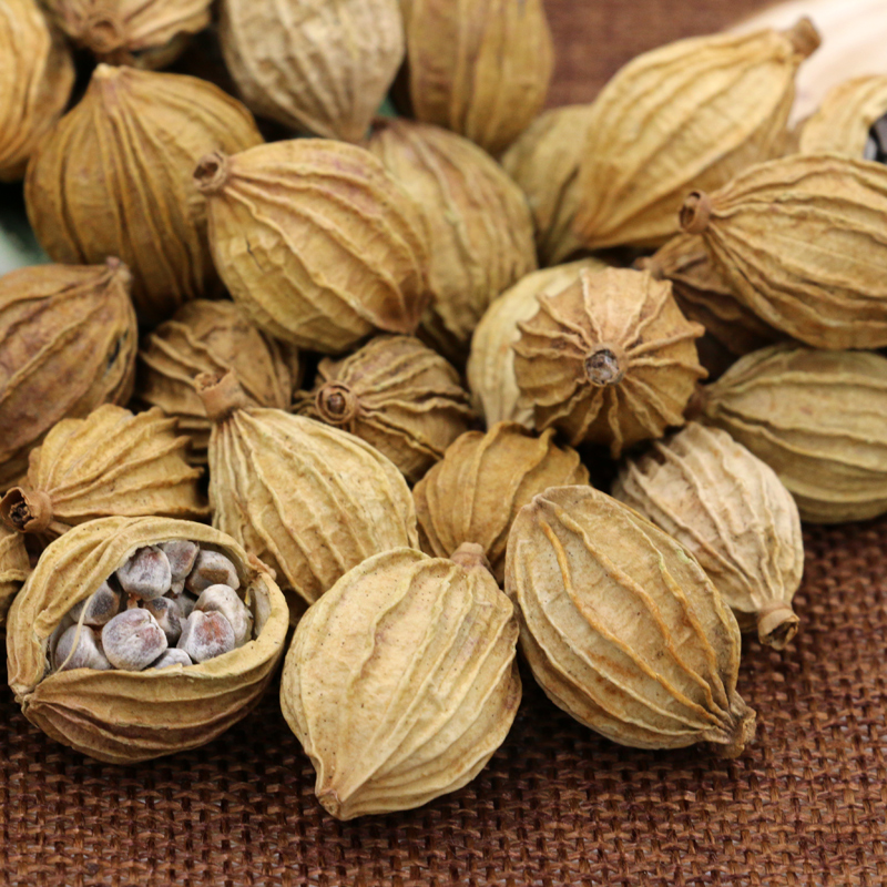 天然调料香料大全 香砂 川砂仁 香砂仁 壳沙川菜火锅香料按方抓料 - 图3