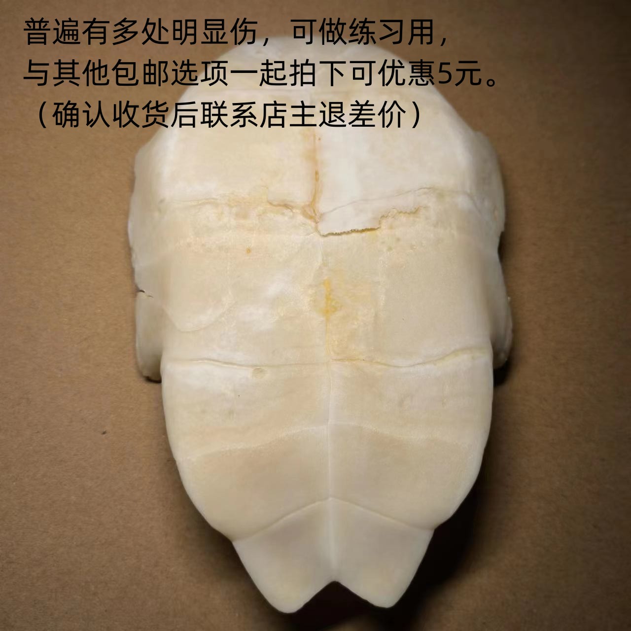 甲骨文龟壳雕刻天然真乌龟壳专用龟甲骨学生描绘涂色脱皮文教用品 - 图2