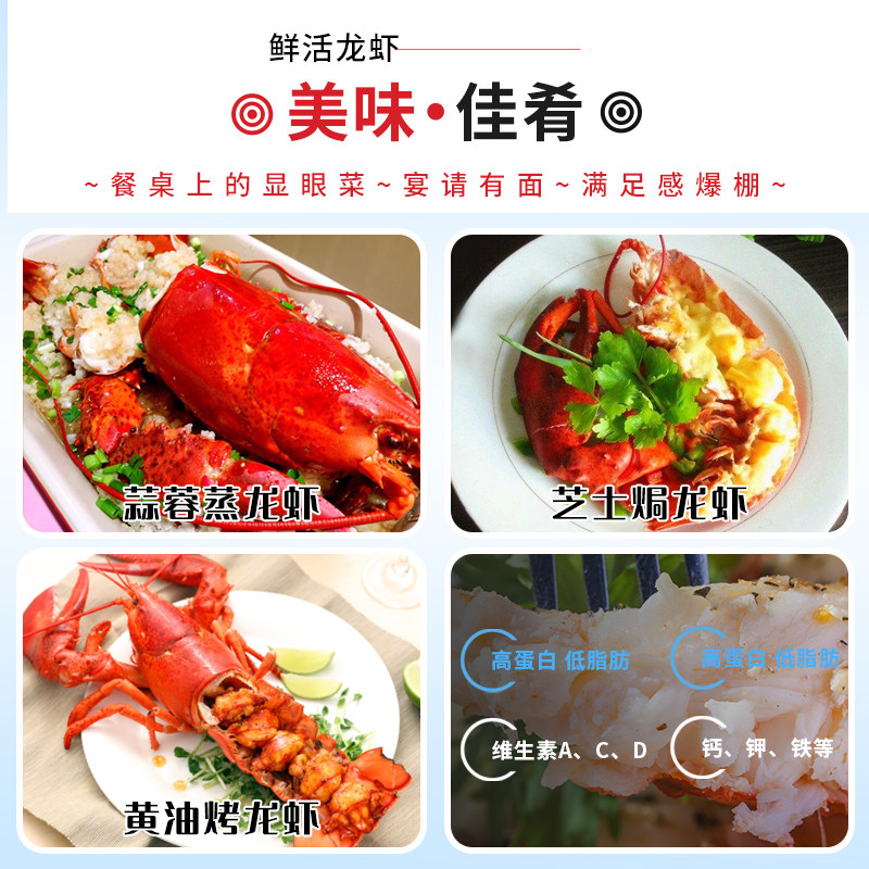 【保活到家】波士顿龙虾鲜活加拿大特大龙虾新鲜活虾包鲜顺丰包邮,淘宝优惠券,粉丝福利购,淘宝优惠卷