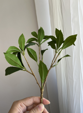 高仿真出口小绿植ins简洁风格马醉木
