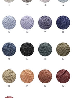 SILKY WOOL意大利进口海狮80新西兰羊毛20桑蚕丝羊毛真丝线