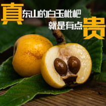 White jade loquat Suzhou Dongshan native farmhouse Direct selected gift box 5 catties now remove fresh white sand pipa Shunfeng