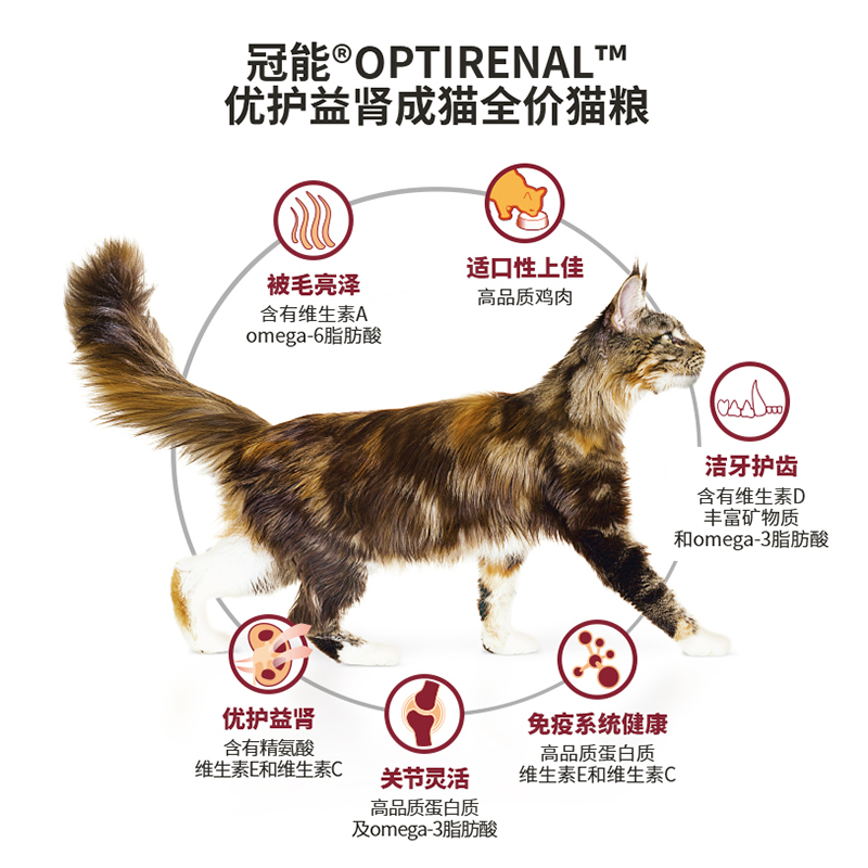 冠能幼猫成猫全价猫粮2.5kg宠物猫咪幼猫孕猫蓝猫英短美短<a href=