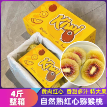 kiwi red heart kiwi when season is now picking fresh fruit Zhengzong Sichuan Pangzi Exotic Fruit Mega Fruity Gift Box