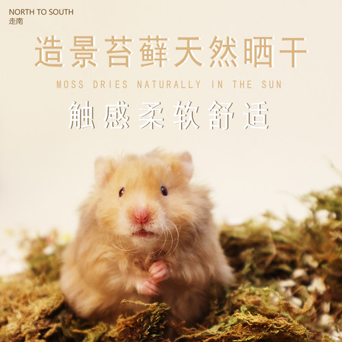 花草垫料合集 仓鼠可食用提摩西草杨木丝苔藓除臭造景走南养老院 - 图1