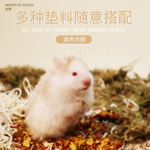 花草垫料合集 仓鼠可食用提摩西草杨木丝苔藓除臭造景走南养老院 - 图2