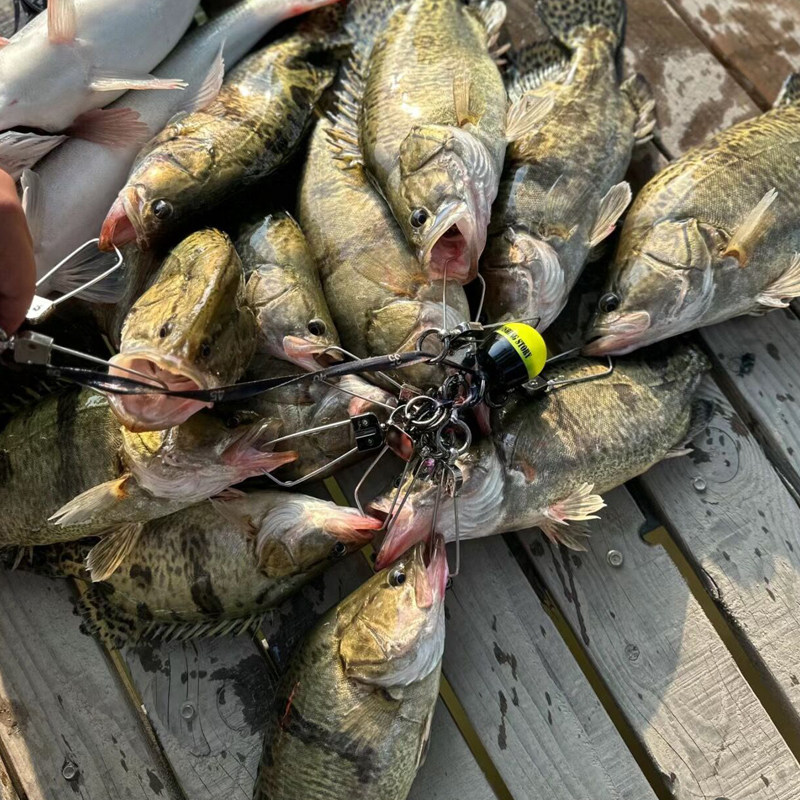 鳜鱼专用路亚钓鱼小药软饵米诺铅头钩t尾野钓假饵料浓腥味诱鱼剂,淘宝优惠券,粉丝福利购,淘宝优惠卷