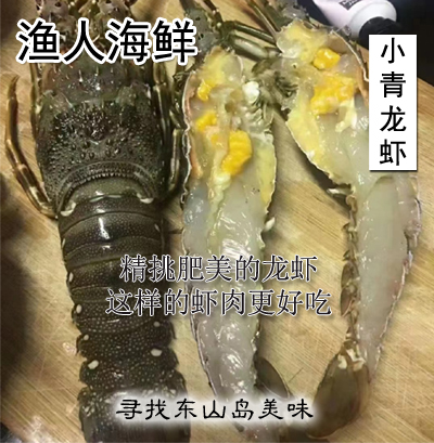 渔人海鲜 东山岛国产小青龙虾鲜活冷冻青龙虾 海鲜龙虾超大龙虾 - 图0