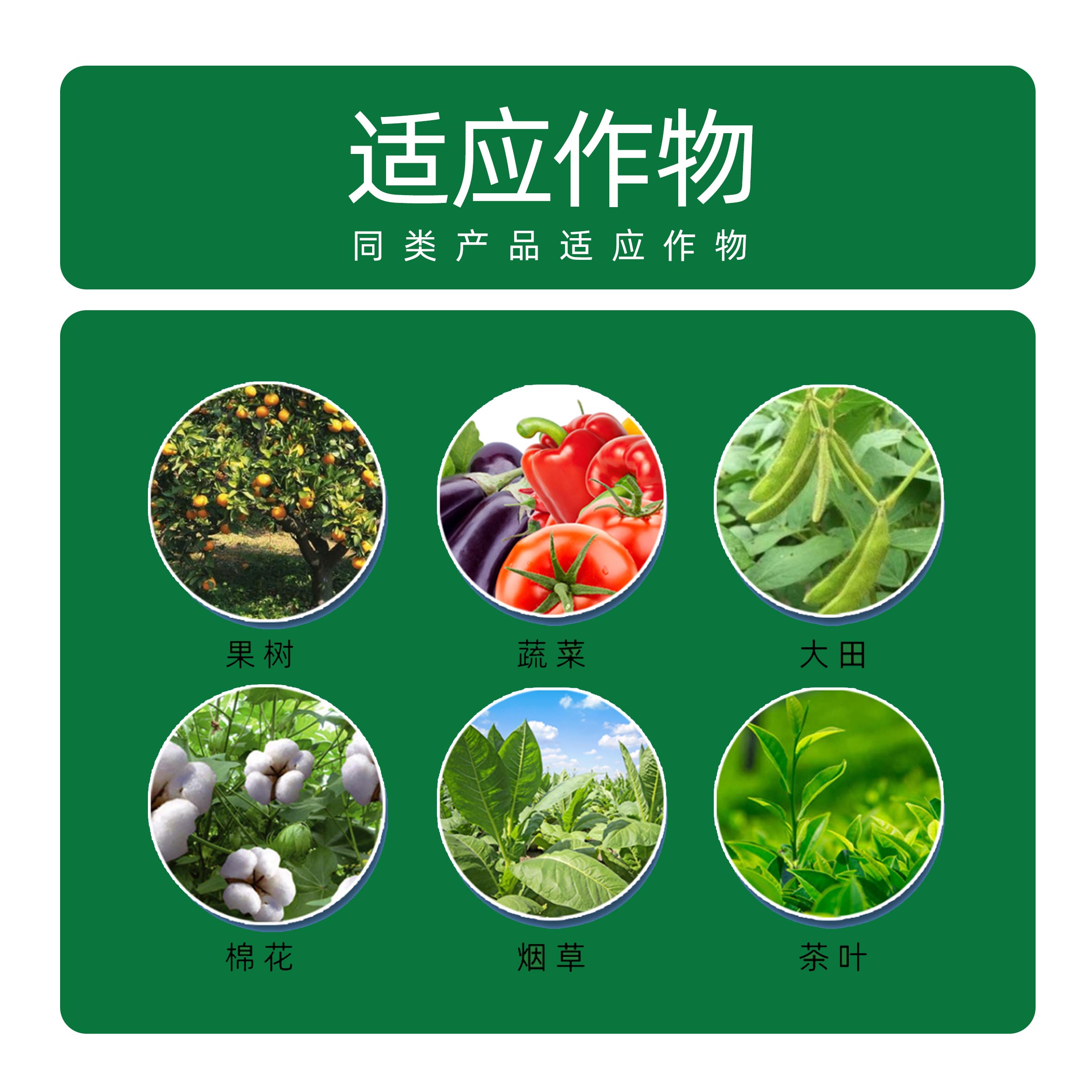 阿维菌素5%阿维茵素果树蔬菜水稻青虫红蜘蛛根结线虫药杀螨杀虫剂 - 图1