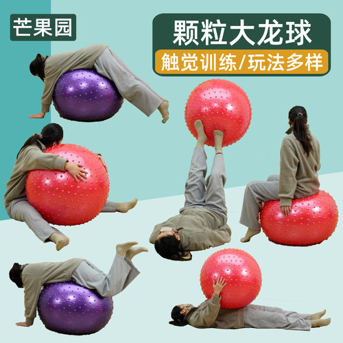 感统按摩大龙球儿童训练大瑜伽触觉教具芒果园幼儿玩具器材100cm - 图0