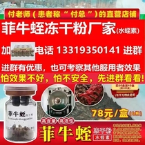 Fibull Leech Frozen Powder Leech leech Leech Peptides Vegetarian Leech Frozen Powder High Content Manufacturer Direct Marketing