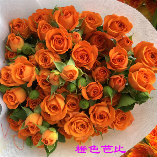 多头玫瑰泡泡云南昆明鲜花花束基地直发速递同城生日花教师节礼物 - 图0
