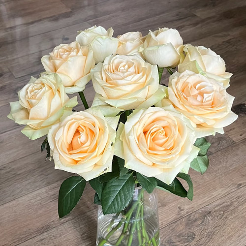 弗洛伊德卡布奇诺玫瑰花鲜花花束云南基地直发速递同城教师节礼物 - 图2