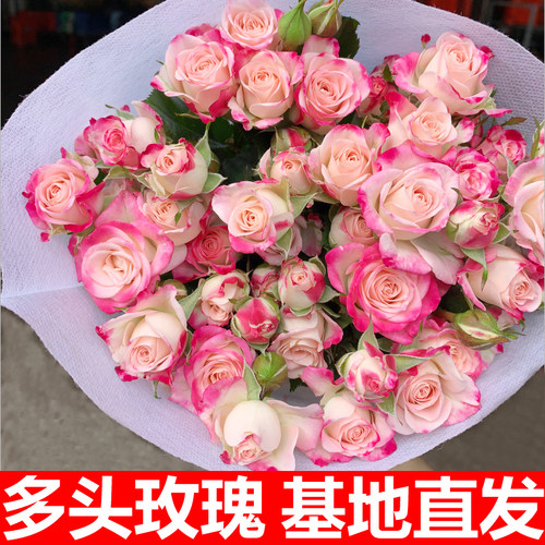 繁星泡泡多头玫瑰云南鲜花花束基地直发速递同城水养花教师节礼物 - 图2