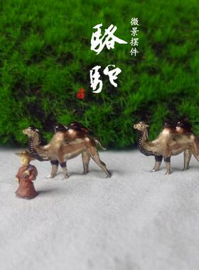 盆景居室装饰摆件指尖PVC摆景