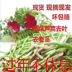 南京芦蒿泥蒿蒌蒿新鲜八卦洲藜蓠黎蒿净菜野蔬菜摘叶免摘包邮 - 图0