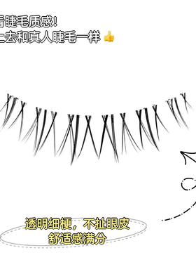 凝释小火苗整条假睫毛