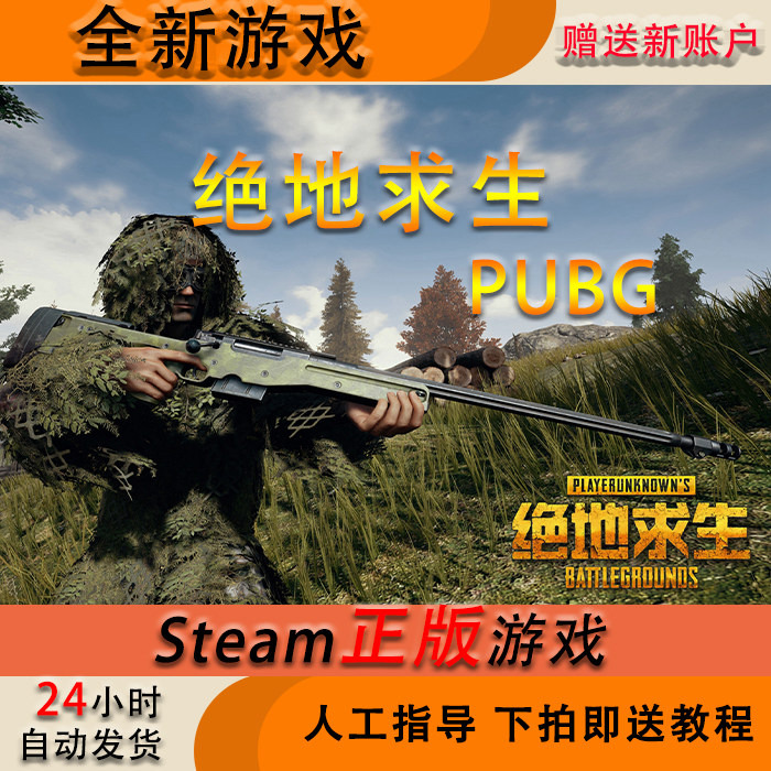 pubgsteam绝地求生吃鸡号 成品号 白号 新号 plus版   匹配 pubg账号