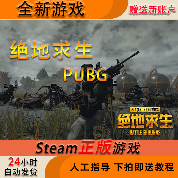 pubgsteam绝地求生吃鸡号 成品号 白号 新号 plus版   匹配 pubg账号