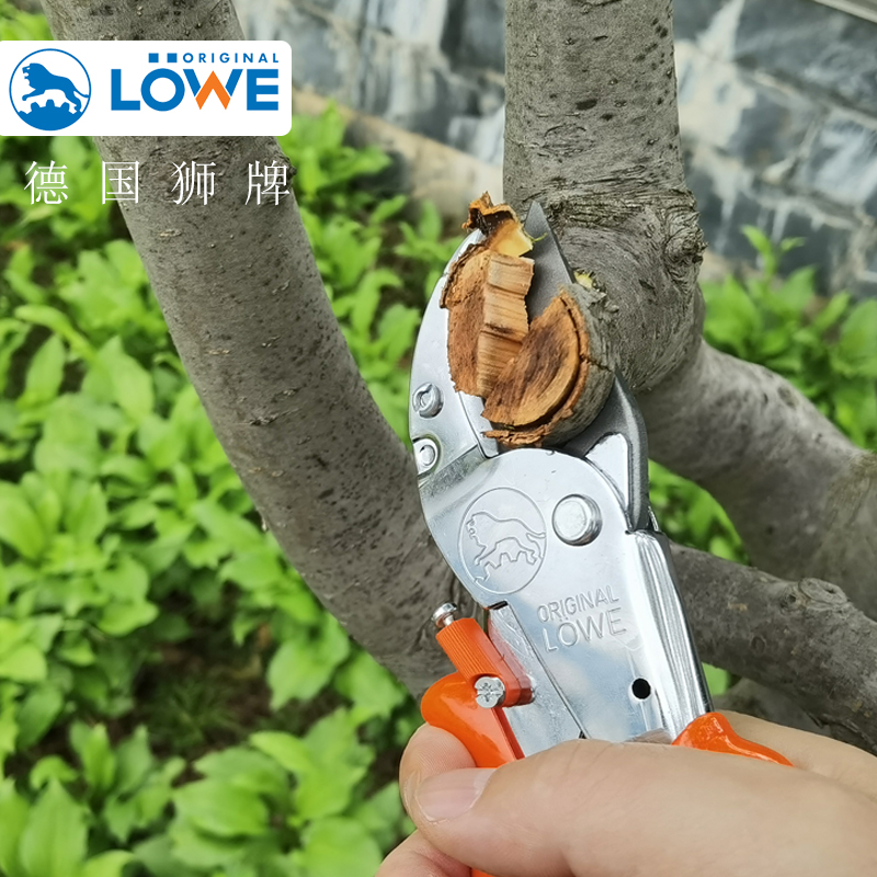 德国进口修枝剪狮牌LOWE10.107铁砧剪果树剪粗枝剪果枝剪园林剪 - 图0