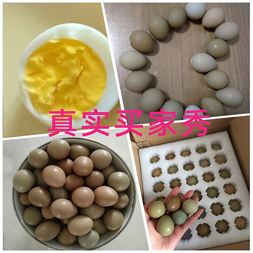 野鸡蛋30枚小孟农场新鲜山鸡蛋七彩山鸡蛋土鸡蛋新鲜顺丰包邮-图1