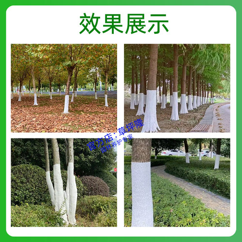 树木涂白剂干防虫草坪隆树太白果树涂白树防冻石灰大树涂白刷白剂 - 图0