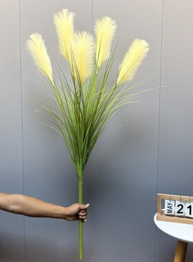 仿真花芦苇花橱窗直播间客厅装饰