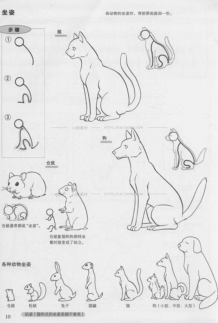 动物画法基础教程生物动态结构肌肉骨骼骨架绘画线稿手绘参考素材 - 图3