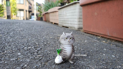 俺是猫津岛第二弹 日本 KITAN CLUB奇谭俱乐部猫咪挂件钥匙扣扭蛋 - 图1